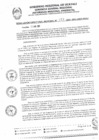 Vista preliminar de documento RDR0013-2025-ARAU
