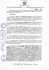 Vista preliminar de documento Resolucion 141