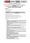 Vista preliminar de documento CAS 047-2025 - TECNICO INFORMATICO