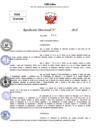 Vista preliminar de documento Resolucion Directoral N° 002955-2025