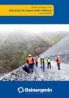 Vista preliminar de documento Boletín informativo de la Gerencia de Supervisión Minera - Enero - Marzo 2025
