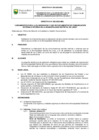 Vista preliminar de documento DIRECTIVA N° 005-2025-MDL