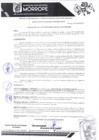 Vista preliminar de documento ResAlca N93