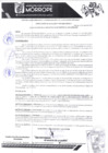 Vista preliminar de documento ResAlca N94