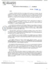 Vista preliminar de documento RGM N°131-2025