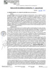 Vista preliminar de documento RGM N°175-2025