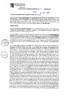 Vista preliminar de documento RGM N°181-2025