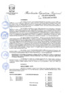Vista preliminar de documento R.E.R. N. 155-2025