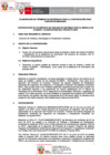 Vista preliminar de documento TDR