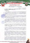 Vista preliminar de documento Resolución Gerencial N° 114-2025-MDP/GM