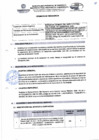Vista preliminar de documento TDR Nº 1102