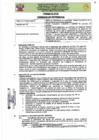 Vista preliminar de documento TDR Nº 602