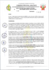 Vista preliminar de documento RESOLUCION N 303