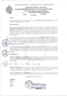 Vista preliminar de documento RESOLUCION N 306