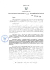 Vista preliminar de documento GGR. 125