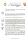 Vista preliminar de documento RESOLUCION N 313