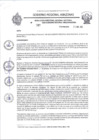 Vista preliminar de documento RESOLUCION N 307