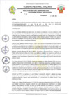 Vista preliminar de documento RESOLUCION N 312
