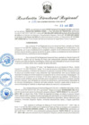 Vista preliminar de documento RDR-272-2025