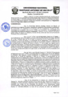Vista preliminar de documento RR N° 199- 2025