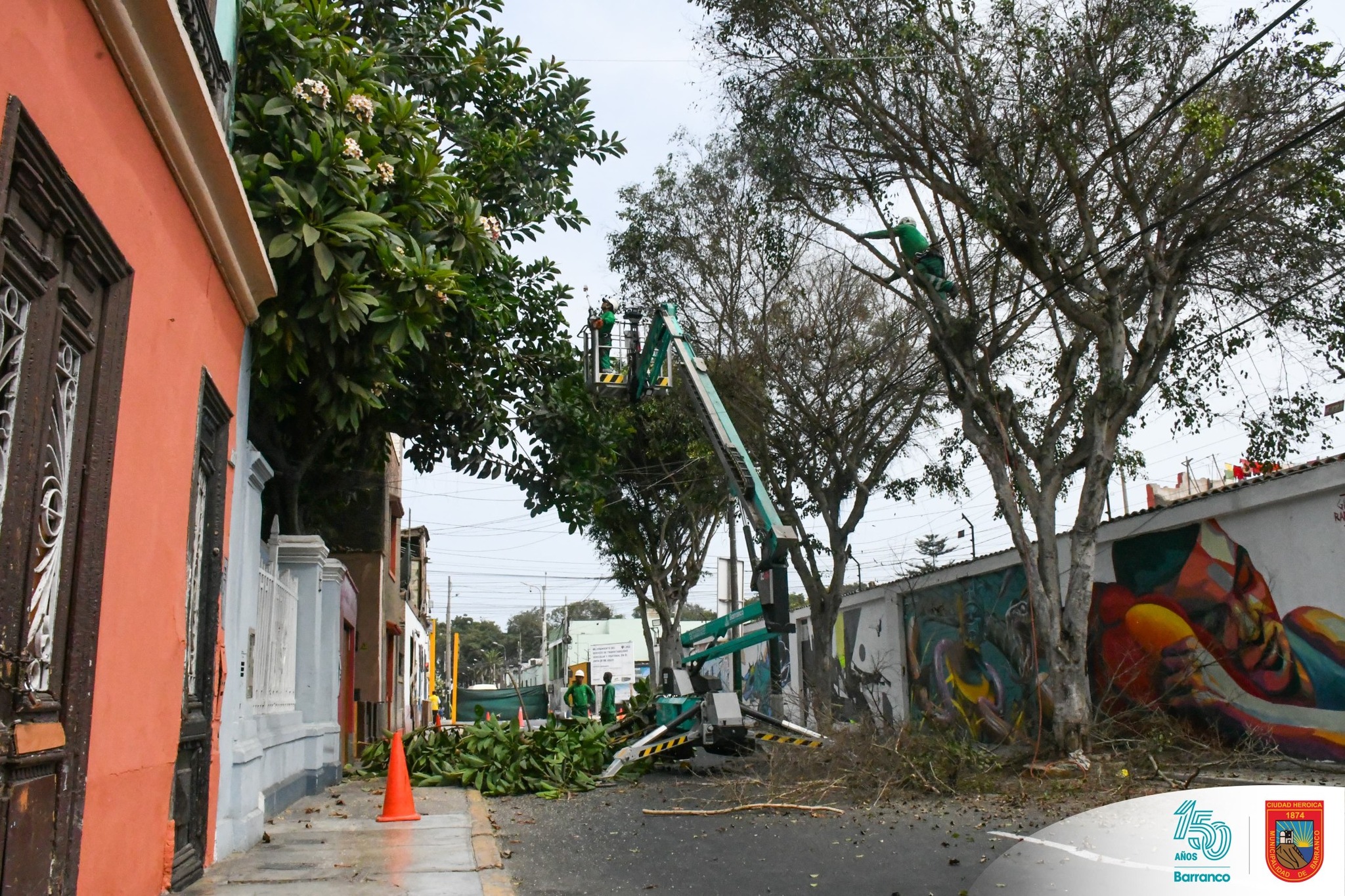 Mantenimiento de áreas verdes en Jr. Corpancho