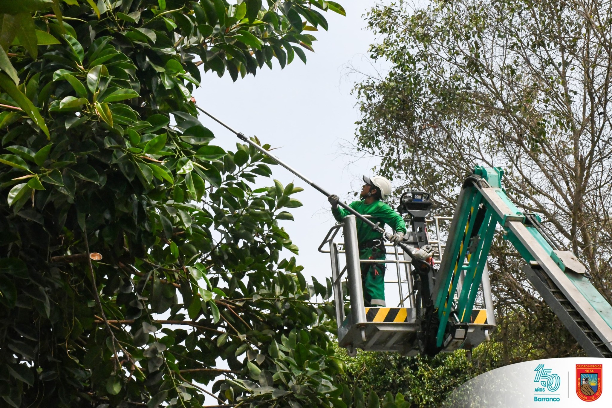 Mantenimiento de áreas verdes en Jr. Corpancho