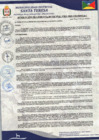 Vista preliminar de documento RESOLUCION DE GERENCIA MUNICIPAL  N°011-2025-GM-MDST/LC