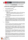 Vista preliminar de documento TDR 2272-2025