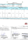 Vista preliminar de documento 00130.1. ANEXO 1 - RD N° 000130-2025-PNVR Informe de liquidación final