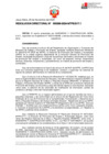 Vista preliminar de documento RD_389-2024-MTPE_3_17.1
