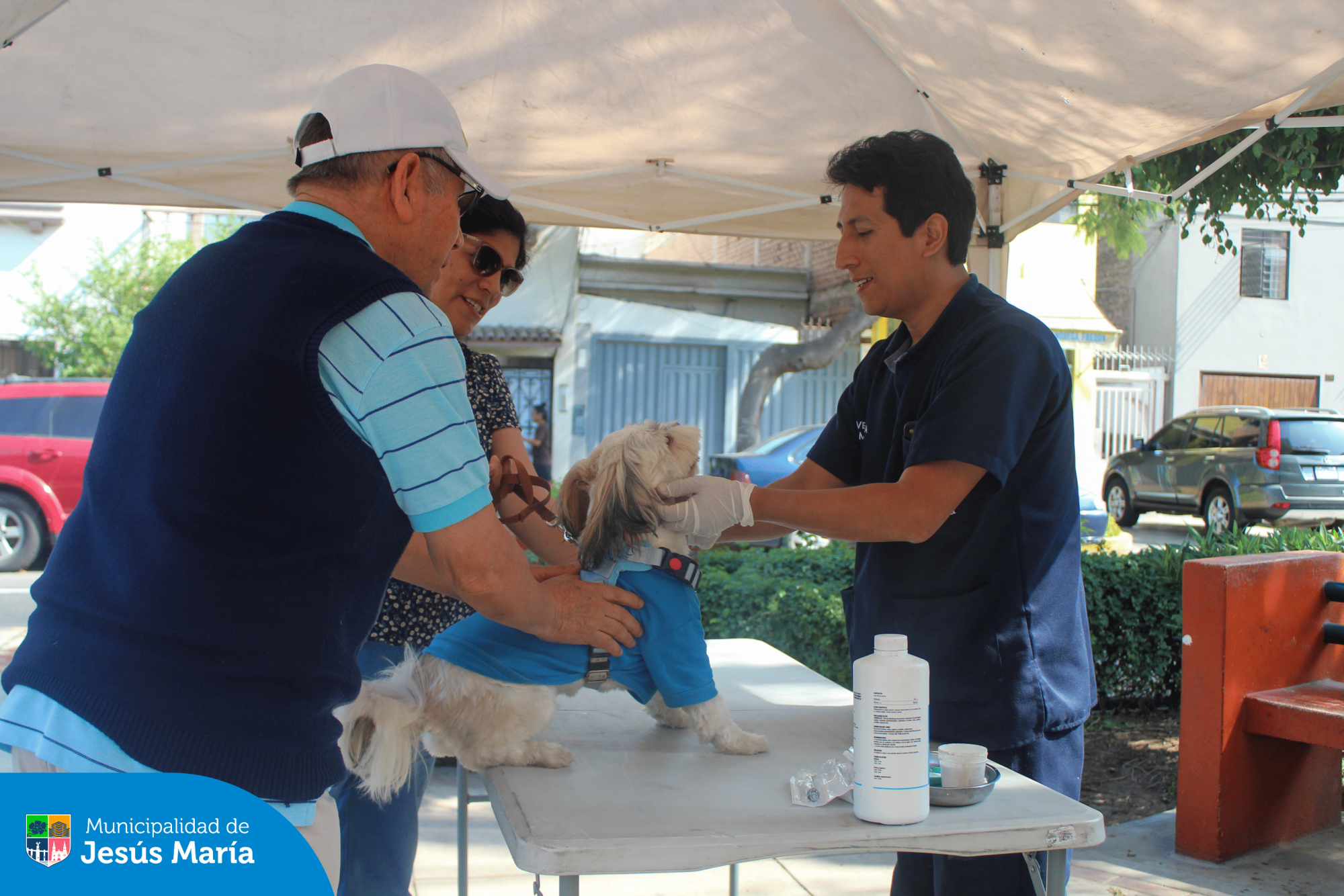 Continuamos llevando salud a los engreídos de 4 patas  con nuestra campaña veterinaria gratuita. 
Agradecemos a todos los vecinos que se sumaron a esta importante actividad en el Parque Huiracocha y escucharon atentamente las recomendaciones para el cuidado de su fiel amigo,  Además sus mascotas recibieron consulta médica, desparasitación y otros servicios gratuitos.
