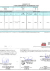 Vista preliminar de documento 00137.1. ANEXO 1 - RD N° 000137-2025-PNVR Informe de liquidación final