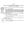 Vista preliminar de documento ANEXOS