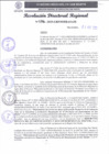 Vista preliminar de documento RDR 156-2025