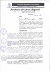 Vista preliminar de documento RDR 157-2025