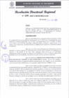 Vista preliminar de documento RDR 159-2025