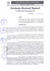 Vista preliminar de documento RDR 160-2025