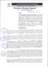 Vista preliminar de documento RDR 161-2025