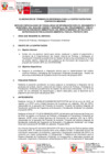 Vista preliminar de documento TDR (14)