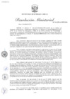 Vista preliminar de documento RM N° 141-2025-MINEM-DM