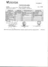 Vista preliminar de documento Anexo N° 28-2013-DV-PE