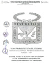 Vista preliminar de documento Bases del concurso CAS Transitorio N° 004-2025-MDP-T