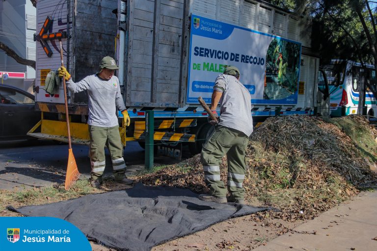 En Jesús María seguimos trabajando por un distrito más limpio y ordenado. Nuestro equipo de Áreas Verdes realizó el recojo de maleza en distintas zonas del distrito, mejorando así el entorno para todos los vecinos.
Cuidar de nuestro distrito es tarea de todos.