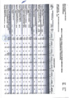 Vista preliminar de documento Cuadro Multianual de Necesidades Bienes, Servicios y Obras (Para la Aprobación y Publicación)