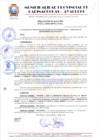 Vista preliminar de documento RESOLUCION 252
