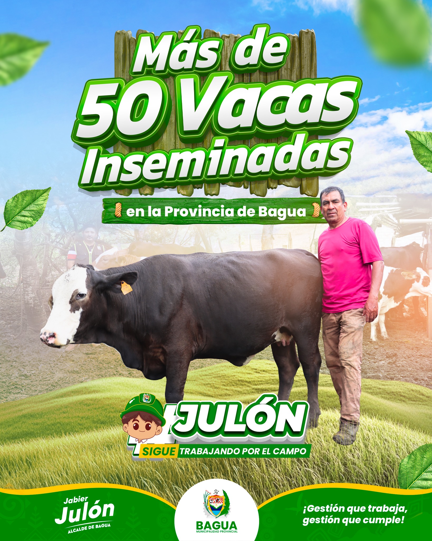 mas de 50 vacas inseminadas en la Provincia de Bagua.