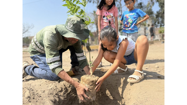 Durante la actividad, vecinos y pequeños del hogar participaron activamente en la recolección de residuos sólidos y en la limpieza de los espacios públicos.
Posteriormente, se llevó a cabo una jornada de arborización, donde se sembraron más de 20 plantas, promoviendo el compromiso conjunto por el cuidado del medio ambiente y la mejora de nuestro distrito.