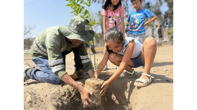 Durante la actividad, vecinos y pequeños del hogar participaron activamente en la recolección de residuos sólidos y en la limpieza de los espacios públicos.
Posteriormente, se llevó a cabo una jornada de arborización, donde se sembraron más de 20 plantas, promoviendo el compromiso conjunto por el cuidado del medio ambiente y la mejora de nuestro distrito.