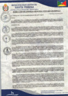 Vista preliminar de documento RESOLUCION DE GERENCIA MUNICIPAL  N°132-2025-GM-MDST/LC