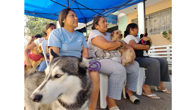 Durante esta actividad, se compartieron valiosos consejos sobre el cuidado y bienestar de nuestras mascotas, así como también servicios gratuitos de desparasitación interna y externa, limpieza de oídos, tratamiento anti pulgas y corte de uñas para nuestros engreídos de 4 patas.
La Municipalidad de El Agustino agradece a los vecinos que participaron y se preocuparon por el bienestar de sus fieles compañeros.
¡Juntos seguiremos fomentando el cuidado responsable y un entorno saludable para nuestras mascotas!